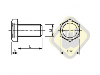 Bout met Neodymium magneet verzinkt SB10x30NdAG-v