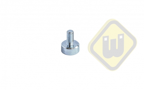 Neodymium potmagneet draadstift verzinkt F10NDAG-vM4x8