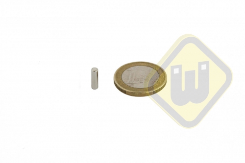 Neodymium schijfmagneten ND-S-3x10